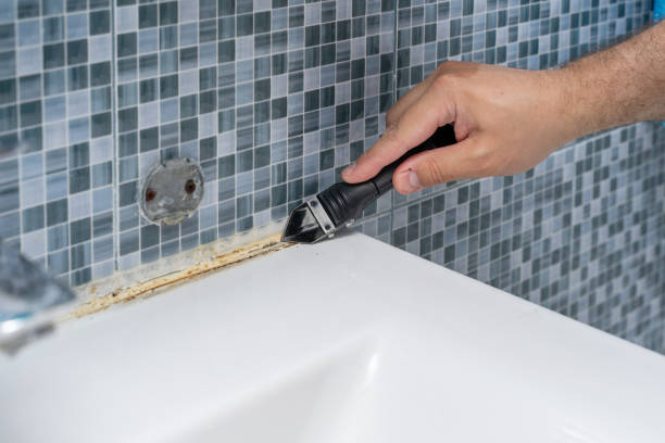 Ardmore, AL Mold Removal Company